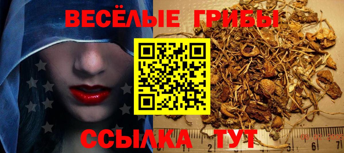 Галлюциногенные грибы мицелий Чапаевск