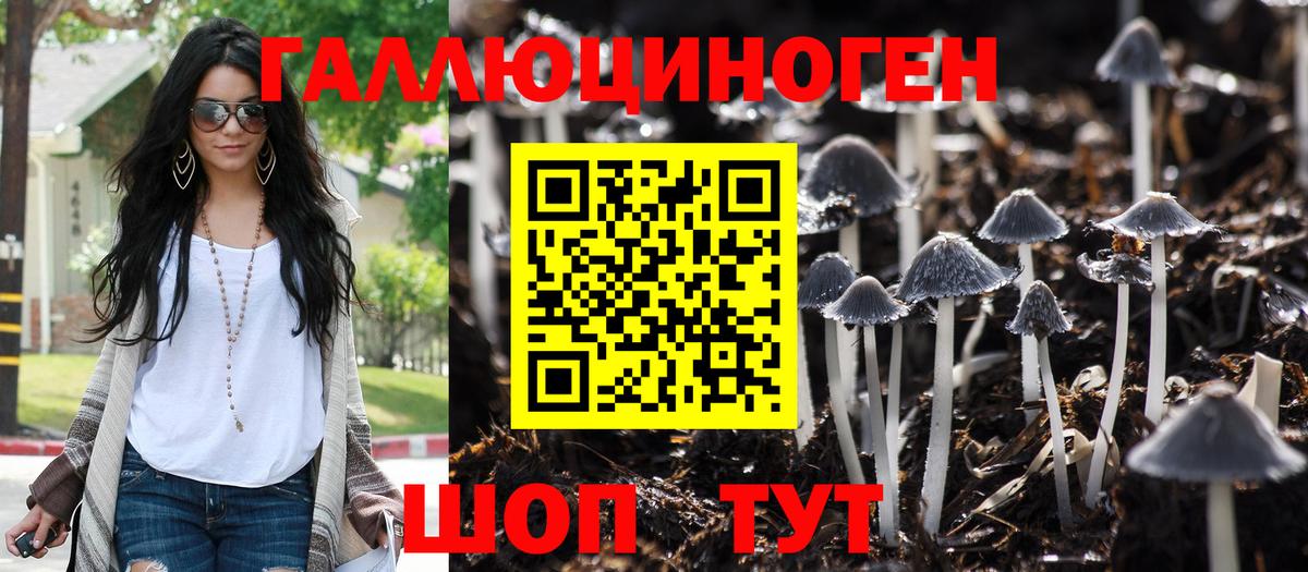 Чапаевск  Галлюциногенные грибы прущие грибы  Вход с VPN 